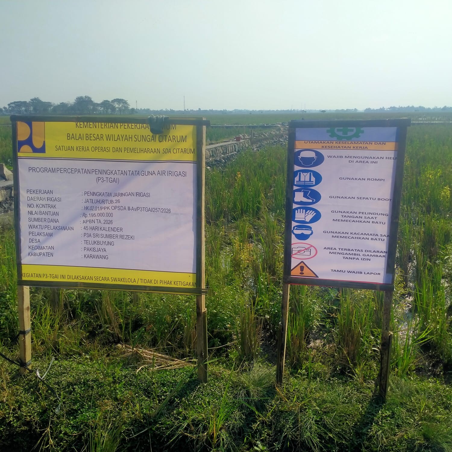 Proyek P3-TGAI Sri Sumber Rejeki Desa Telukbuyung Jadi Sorotan
